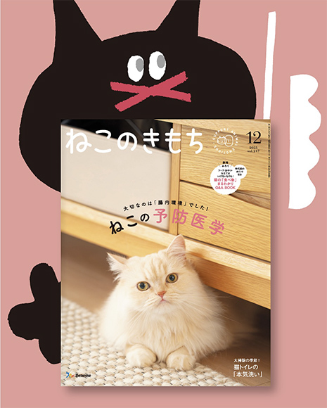 『ねこのきもち』12月号表紙